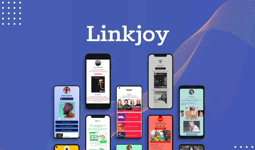 Linkjoy Review